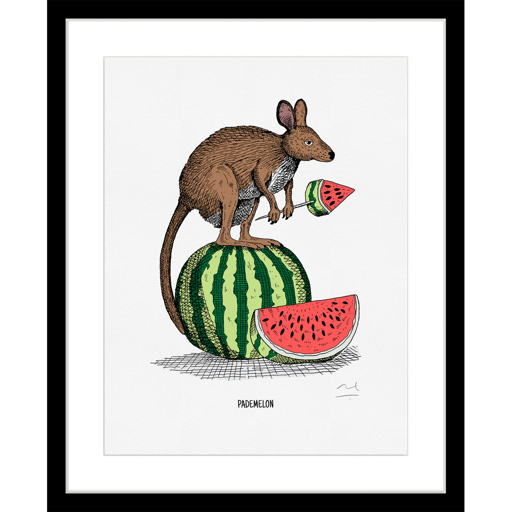 Limited Edition Art Print: Pademelon