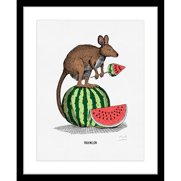 Limited Edition Art Print: Pademelon