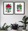 Limited Edition Botanic Art Print: Australian Waratah