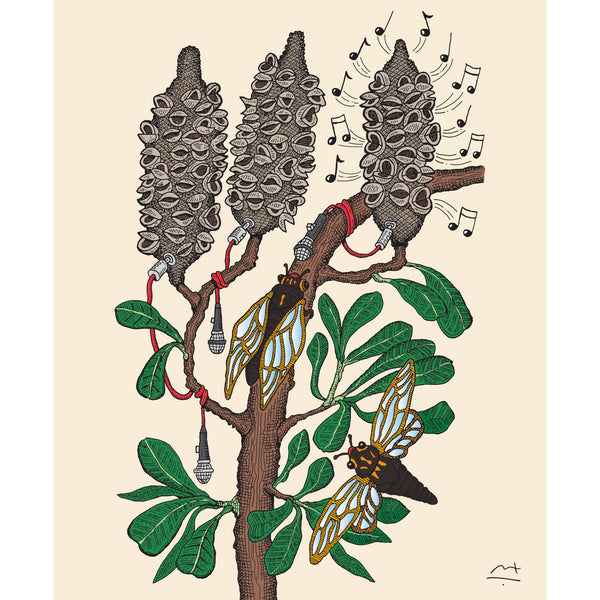 Large Canvas Prints: Cicadas