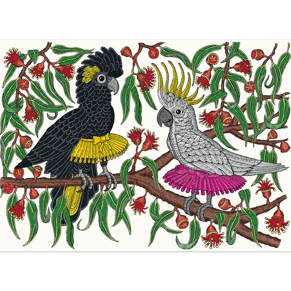 Large Canvas Print: Cockatutus