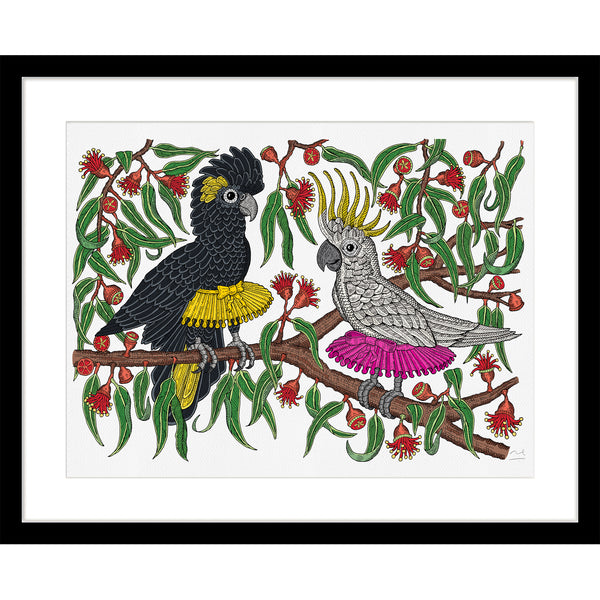 Limited Edition Art Print: Cockatutus