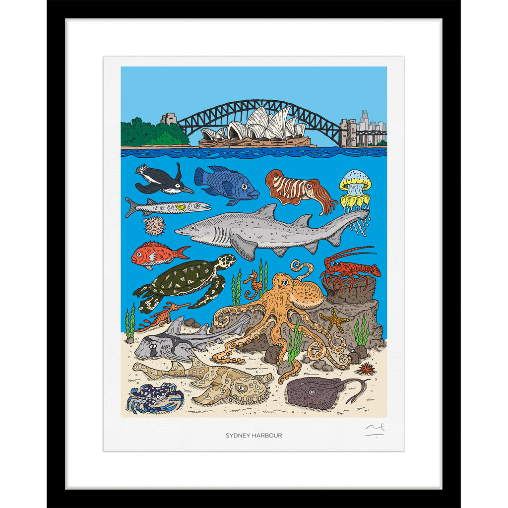 Limited Edition Print: Sydney Harbour, Marine Life