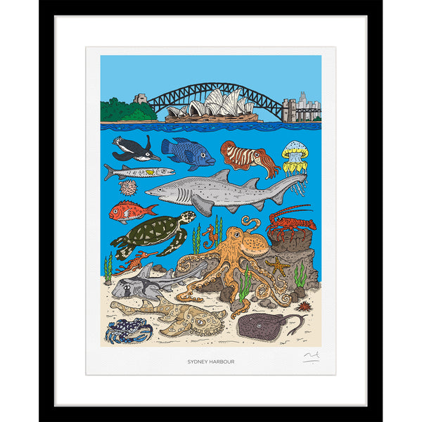 Limited Edition Print: Sydney Harbour, Marine Life