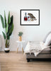 Limited Edition Art Print: Tawny Port