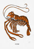 Limited Edition Art Print: Tiger Prawn
