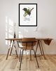Limited Edition Art Print: Cricket Bat