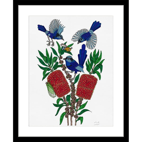 Limited Edition Art Print: Blue Fairy Wrens