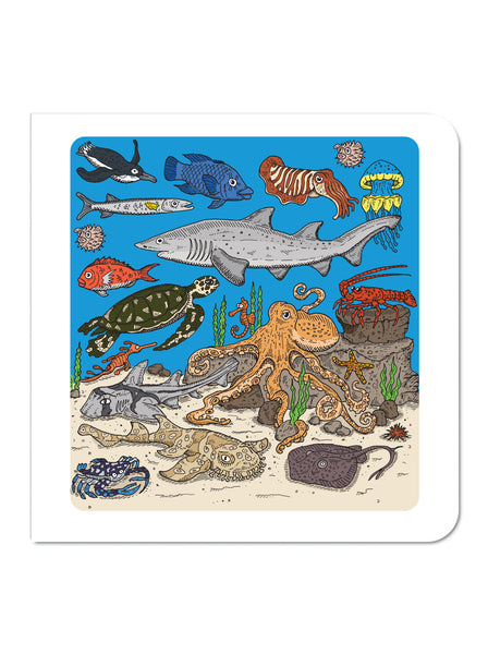 Greeting Card: Australian Marine Life DUE BACK IN STOCK NOVEMBER