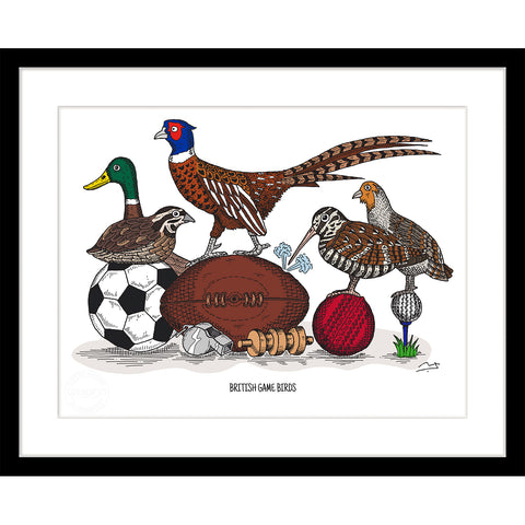 Art Print: British Game Birds