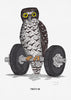 Fine Art Print: Powerful Owl