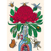 Large Canvas Prints: Waratah