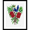Limited Edition Botanic Art Print: Fairy Wren