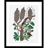 Limited Edition Botanic Art Print: Cicadas