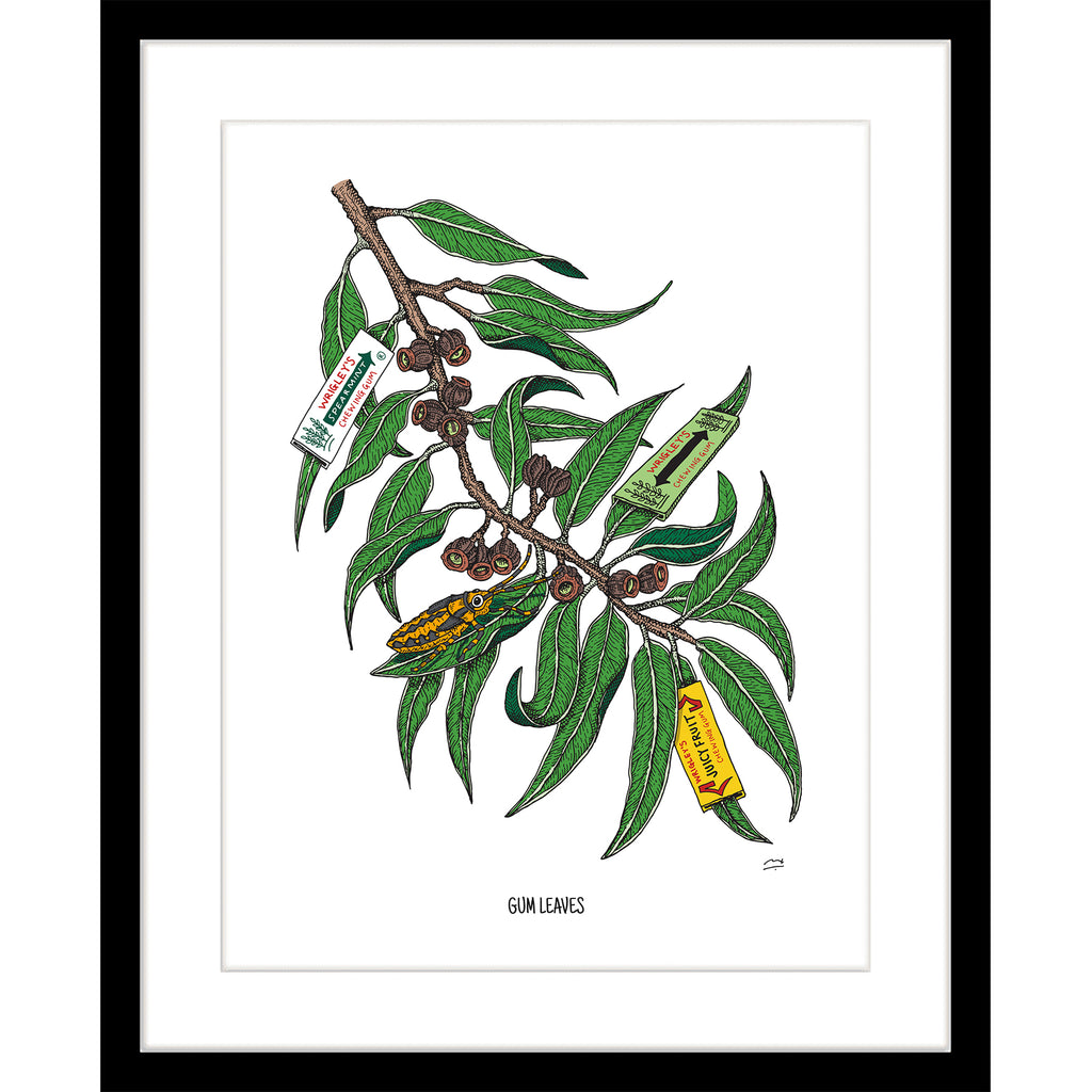 Limited Edition Botanic Art Print: Gum leaves