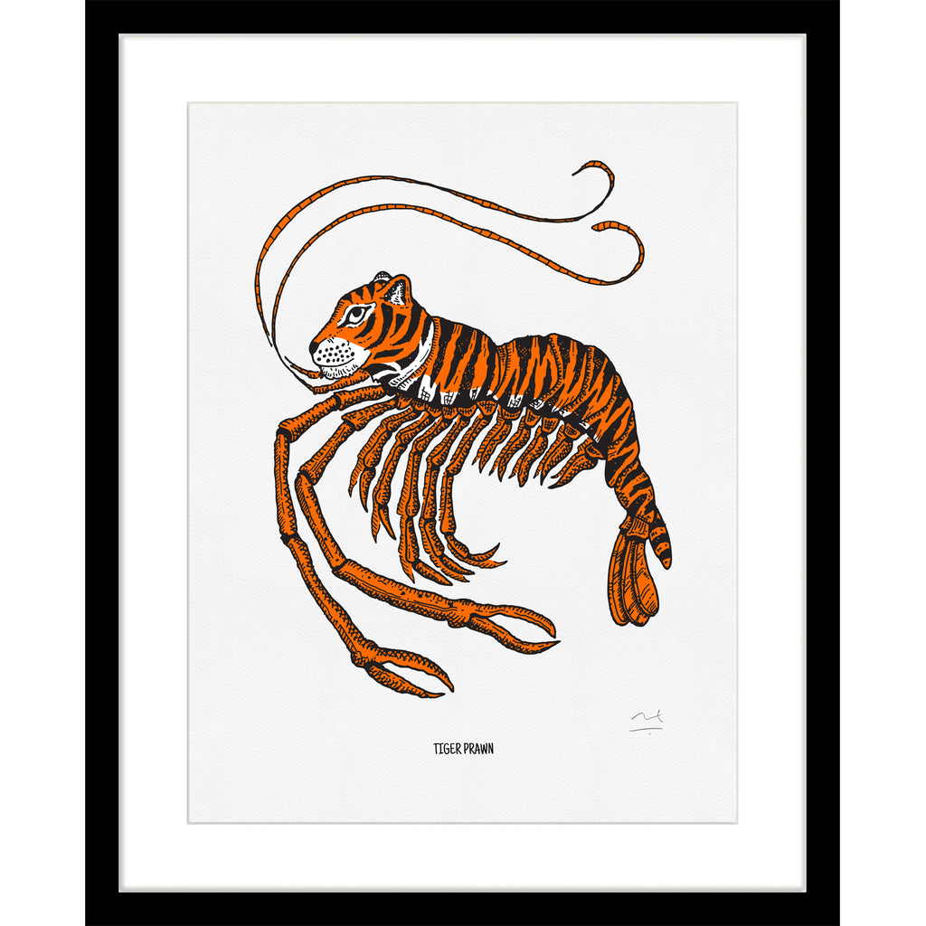 Limited Edition Art Print: Tiger Prawn